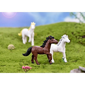 Mô hình ngựa trên nông trại trang trí tiểu cảnh, terrarium quà tặng trang trí