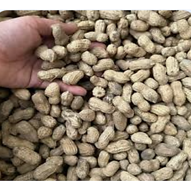 1kg Đậu Phộng (Lạc) khô nguyên vỏ loại ngon dùng cho vẹt trung và to ăn (người ăn được)