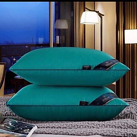 Mua Ruột gối pillow Hitton bông tắng cao cấp chuẩn 1 3kg ( 40cm*60cm)