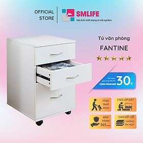 Mua Tủ tài liệu hiện đại tự đứng tài liệu kiểu dáng đơn giản SMLIFE Fantine