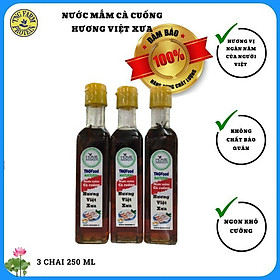 NƯỚC MẮM CÀ CUỐNG HƯƠNG VIỆT XƯA LOẠI THƯỢNG HẠNG THƠM NGON. 3 CHAI 250 mL  Mã SP : NM3-250