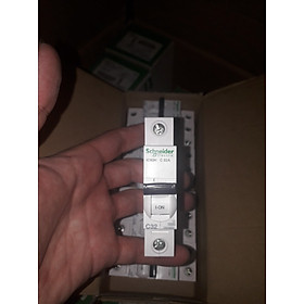 Mua Cầu Dao điện A9F84132 Schneider MCB 32A 10kA 1P