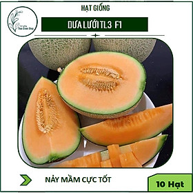 Mua 10 Hạt Giống Dưa Lưới TL3 F1