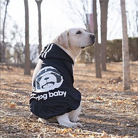 ÁO HOODIE CHO CHÓ DOG BABY CHO CHÓ LỚN - SP000611
