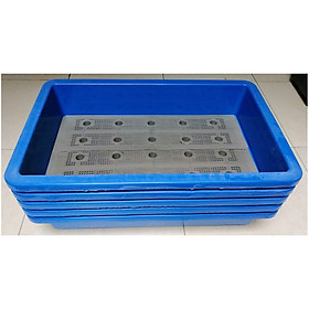 5 KHAY NHỰA TRỒNG RAU KÍCH THƯỚC 68X42X15CM - MÀU XANH