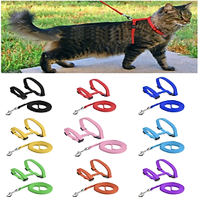 Dây dắt dạng yếm cho chó mèo nhỏ không bị đau ( Giao màu ngẫu nhiênn)