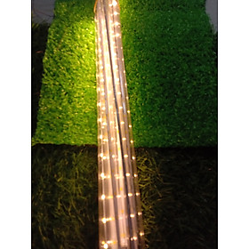 Mua Đèn led sao băng dùng trang trí ngoài trời sân vườn