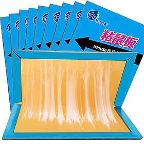Miếng Dán Chuột Fenlan Home (10 Cái)
