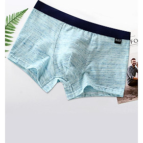 Hộp 4 quần lót nam boxer cotton cao cấp