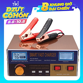 Bộ Sạc Dự Phòng Kiêm Kích Nổ Ô Tô (12V 24V)