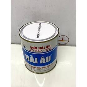 Sơn chịu nhiệt 600 độ màu bạc SK6 Hải Âu 1L