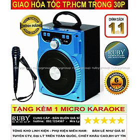 Mua Loa mini KARAOKE xách tay bluetooth P88/P89 kèm micro – Ruby Group