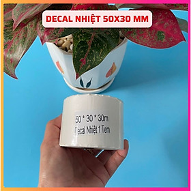 Mua COMBO 5 CUỘN DECAL NHIỆT 50X30MM - DECAL NHIỆT 5X3 CM