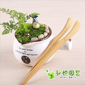 Nhíp trúc chuyên dùng trang trí tiểu cảnh, trà đạo
