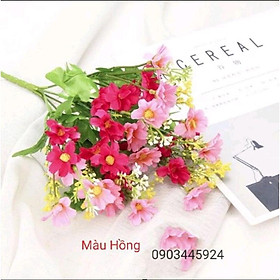 Hoa Cánh Bướm Hoa Cúc Nhí cao 35cm, nhiều màu - hoa cắm lọ, hàng rào, cành điểm