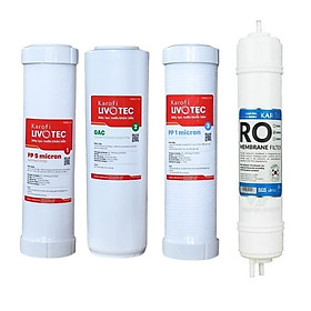 Combo Bộ 4 Lõi Lọc Nước Karofi Livotec 1,2,3 + Màng Lọc RO 100GPD Hàn Quốc (Lõi Số 4) - Hàng Chính Hãng