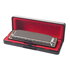 Harmonica with Box, 10 Holes 20 Tones, Key of C for Beginners Kids, Silver