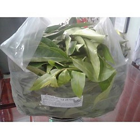 Cây, Lá vối tươi