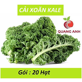 20 Hạt Giống Cải Xoăn Kale - Nhập Khẩu Mỹ