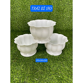 Chậu nhựa trồng cây trái bí nhỏ để bàn màu trắng 170 x 110 x 120mm