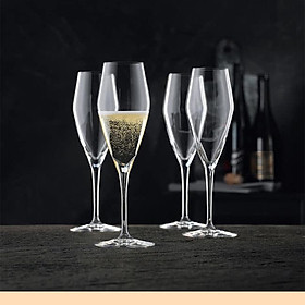 Mua Set 4 ly champange Nachtmann ViNova 98075 CHAMPAGNER