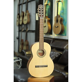 Đàn Guitar Classic Chuyên Nghiệp ( Full solid) C350 Chất Lượng Cao