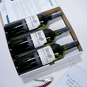 Rượu Vang Trắng Pháp BORDEAUX BLANC CHATEAU FAYAU- 750 ml