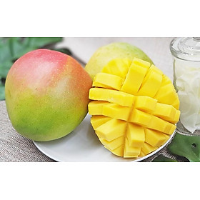 Mua Xoài úc xoài bom xoài táo tươi già-đặc sản xứ xoài Cam Lâm