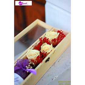 Mua HỘP HOA HỒNG VĨNH CỬU DÀI