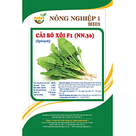 Mua hạt giống cải bó xôi