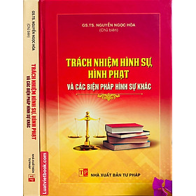 Trách nhiệm hình sự, hình phạt và các biện pháp hình sự khác