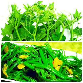 Mua Hạt giống bí ngọn siêu đọt gói 20gr/50hạt