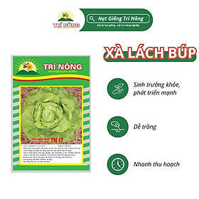 Mua Hạt Giống Xà Lách Búp Trí Nông   TN17  Dễ Trồng  Dễ Chăm Sóc  Thời Gian Thu Hoạch 30 ngày  Gói 10 gram