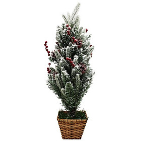 Mua Cây Thông Mini Phủ Tuyết Gắn Trái Đỏ 60cm - Chaang Chiia LP-AN-60DHS