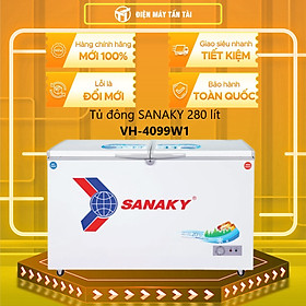 Mua Tủ Đông Sanaky VH-4099W1 (280L) - Hàng Chính Hãng