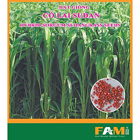 Hạt Giống Cỏ chăn nuôi SUDAN SUPER BMR - Gói 100gram