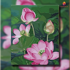 Mua Tranh tô màu theo số tranh sơn dầu số hóa  Đã căng khung  tĩnh vật hoa sen Timpencil HA04  tặng khăn lau cọ mềm mịn siêu thấm 9k