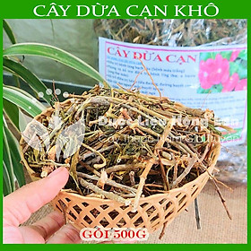 Cây Dừa Cạn khô sạch đóng gói 500gram