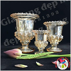Mua (HÀNG DÀY ĐẸP) Lọ thủy tinh cắm hoa  cắm phật thủ trang trí đẹp mắt