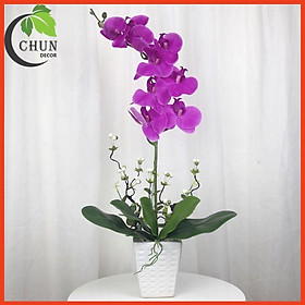 Hoa giả, chậu lan hồ điệp chất liệu cao su mềm mại y như thật cao 60cm