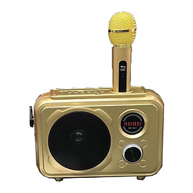 BỘ LOA BLUETOOTH KÈM MIC SD-501 HÁT KARAOKE - Hàng Nhập Khẩu