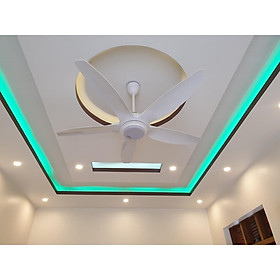 Mua QUẠT TRẦN ĐÈN CAO CẤP - QT02-ASIA