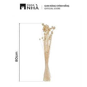 Mua Bó Hoa Khô Vintage - Bó hoa  cỏ khô decor  trang trí  phụ kiện chụp ảnh - Casanhà Furniture