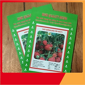 Hạt Giống Dâu Tây Chịu Nhiệt F1 High Quality Seeds - Nảy Mầm Cực Chuẩn