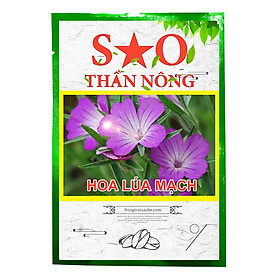 Hoa lúa mạch Sao Thần Nông màu tím - gói 100 hạt tỉ lệ nảy mầm cao dễ chăm sóc hoa siêng ra hoa thích hợp với điều kiện khí hậu cả nước