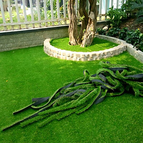 Combo 25m2 thảm cỏ nhân tạo dày 2cm