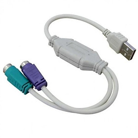 Cổng  USB RA PS2 cho bàn phím và chuột 