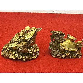 Mua Thiềm Thừ - Long Quy bằng đồng