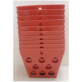 10 Chậu Nhựa Trồng Lan Vuông LH 150