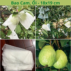 SET 10 Túi bọc trái cây đủ size có dây rút bằng vải không dệt chuyên dùng bọc cam, ổi, mít, mướp, bầu, bưởi